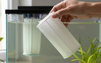 How to Clean a Canister Aquarium Filter (2026): Step-by-Step