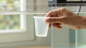 How to Clean a Protein Skimmer Cup (2026): Step-by-Step