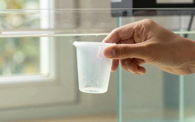 How to Clean a Protein Skimmer Cup (2026): Step-by-Step