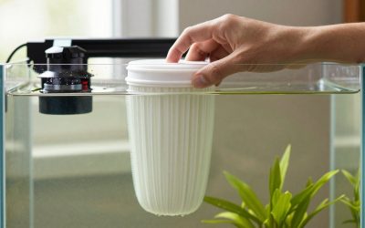How to Clean Aquarium Canister Filter (2026): Step-by-Step