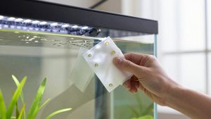 How to Clean Aquarium Led Light (2026): Step-by-Step
