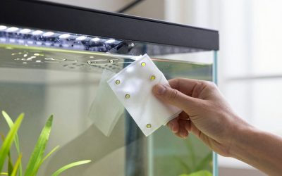 How to Clean Aquarium Led Light (2026): Step-by-Step