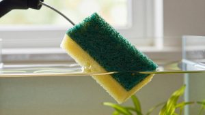 How to Clean Aquarium Sponge Filter (2026): Step-by-Step