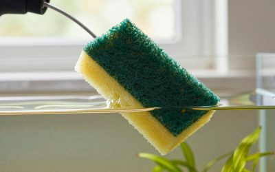 How to Clean Aquarium Sponge Filter (2026): Step-by-Step