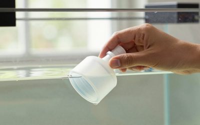 How to Clean Protein Skimmer Cup (2026): Step-by-Step