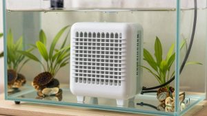 How to Fix Aquarium Heater Stuck on (2026): Step-by-Step