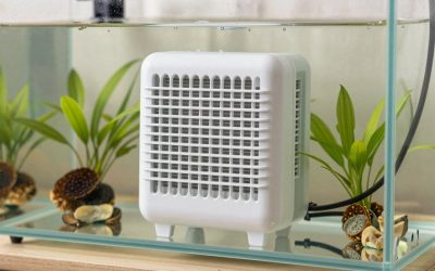 How to Fix Aquarium Heater Stuck on (2026): Step-by-Step