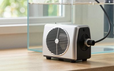 How to Fix Noisy Aquarium Air Pump (2026): Step-by-Step