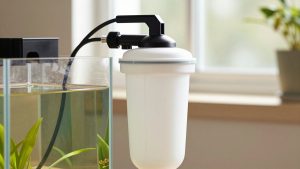 How to Prime a Canister Aquarium Filter (2026): Step-by-Step