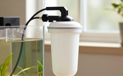 How to Prime a Canister Aquarium Filter (2026): Step-by-Step