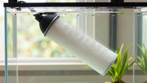 How to Replace Aquarium Filter Media (2026): Step-by-Step