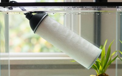 How to Replace Aquarium Filter Media (2026): Step-by-Step
