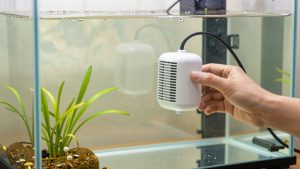 How to Set Up an Aquarium Heater (2026): Step-by-Step