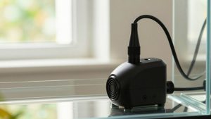 How to Set Up Aquarium Air Pump (2026): Step-by-Step