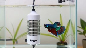 hygger Small Aquarium Betta Heater vs auomii USB 10W Mini Submersible Aquarium: Which Should You Buy?