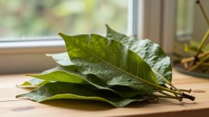 Indian Almond (Catappa) Leaves for Aquariums: Benefits and How to Use