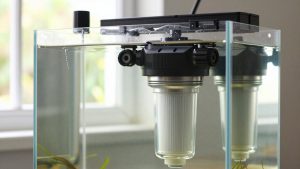 Is a Canister Filter Worth It? An Honest Answer (2026)