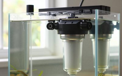 Is a Canister Filter Worth It? An Honest Answer (2026)