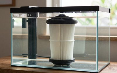 Is a Larger Aquarium Filter Worth It? An Honest Answer (2026)