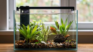 Is Active Substrate Worth It Planted Tank? An Honest Answer (2026)
