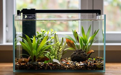Is Active Substrate Worth It Planted Tank? An Honest Answer (2026)