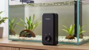 Is an Aquarium Heater Controller Worth It? An Honest Answer (2026)