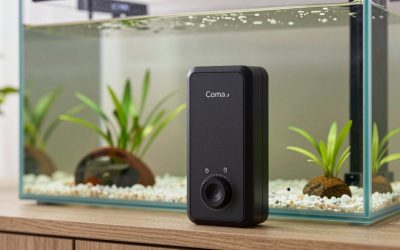 Is an Aquarium Heater Controller Worth It? An Honest Answer (2026)