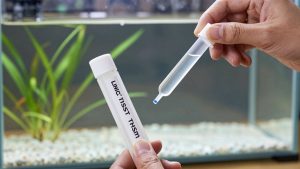 Liquid Test Kit vs Aquarium Test Strips: Which Is Right for Your Home (2026)