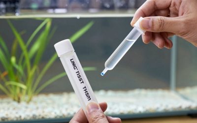 Liquid Test Kit vs Aquarium Test Strips: Which Is Right for Your Home (2026)