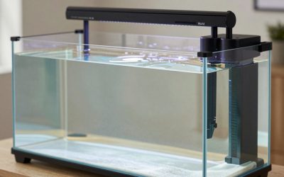 Best Pool World in 2026: What to Know Before You Buy