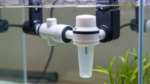 Protein Skimmer vs Refugium Filtration: Which Is Right for Your Home (2026)