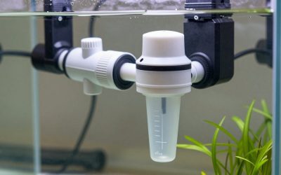 Protein Skimmer vs Refugium Filtration: Which Is Right for Your Home (2026)