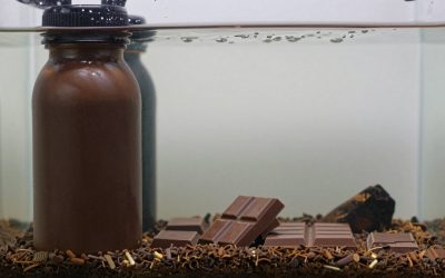Best Seattle Chocolate in 2026: Buying Guide