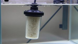 Sponge Filter vs Internal Aquarium Filter: Which Is Right for Your Home (2026)