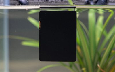 Best Tf Card vs Sd Card in 2026: How the Top Models Compare