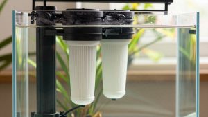 What Size Aquarium Filter for 20 Gallons? Size Guide With Measurements (2026)