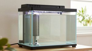 What Size Heater for 20 Gallon Aquarium? Size Guide With Measurements (2026)