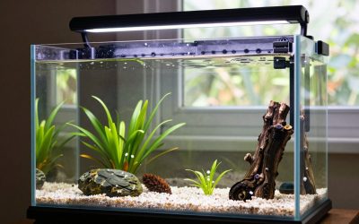 What Size Led Light for 10 Gallon Aquarium? Size Guide With Measurements (2026)