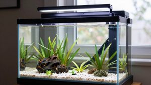 What Size Led Light for Aquarium? Size Guide With Measurements (2026)