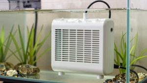 What to Look for Aquarium Heater Wattage in 2026: What Actually Matters