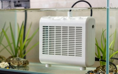 What to Look for Aquarium Heater Wattage in 2026: What Actually Matters