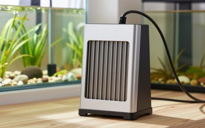 What to Look for in Aquarium Heaters in 2026: What Actually Matters