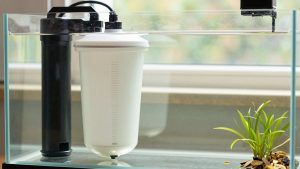 What to Look for in Canister Filters in 2026: What Actually Matters