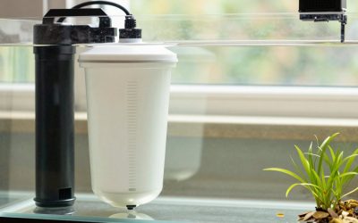 What to Look for in Canister Filters in 2026: What Actually Matters
