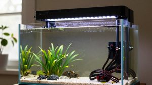 What to Look for in Led Aquarium Lights in 2026: What Actually Matters
