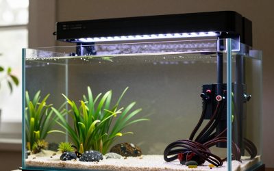 What to Look for in Led Aquarium Lights in 2026: What Actually Matters