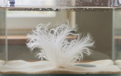 White Fuzz in a Fish Tank: Algae, Fungus or Bacteria? How to Tell