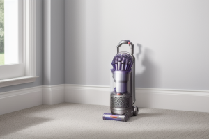 Dyson Air Purifier For Pets